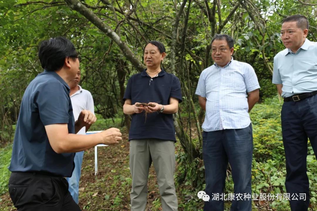 微信圖片_20201104091541.jpg
