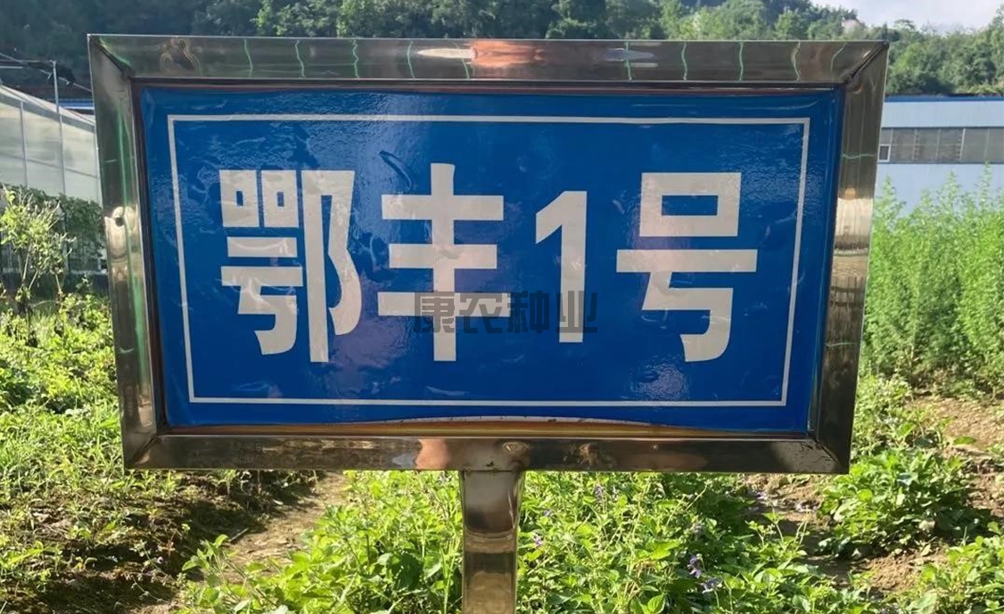 額豐1號