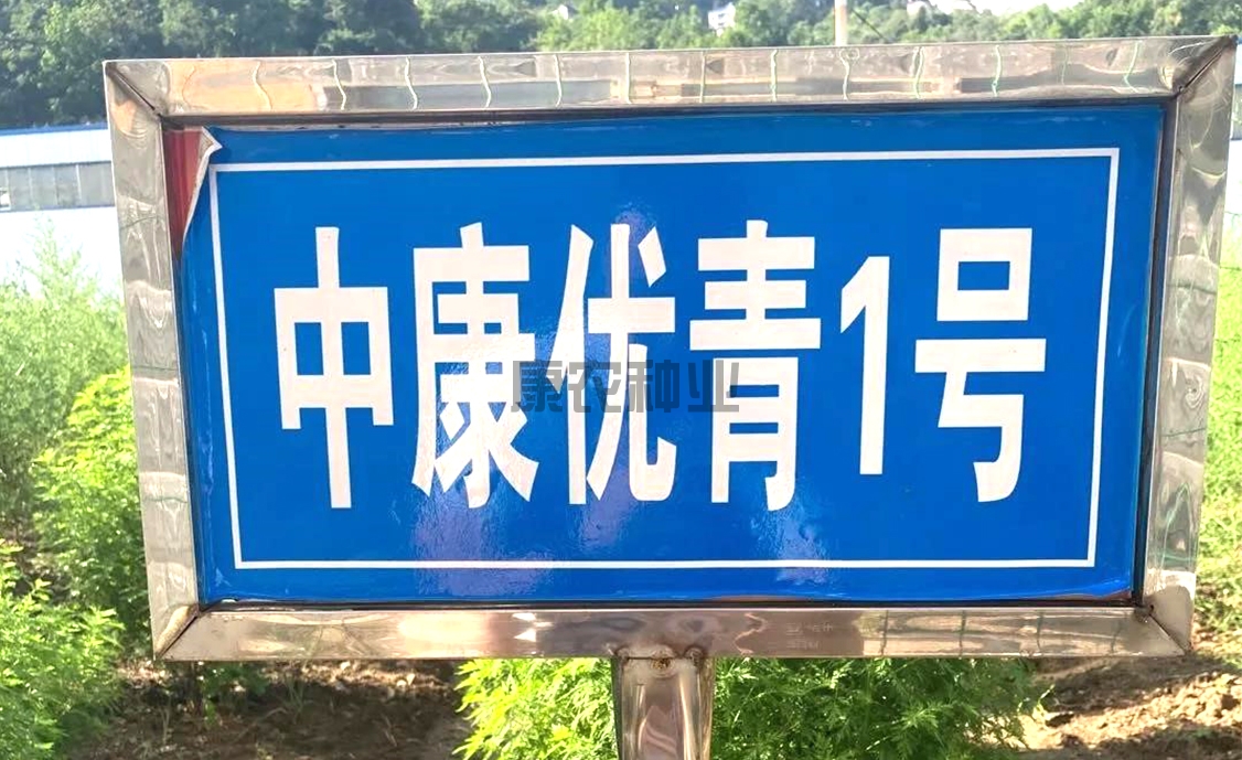 中康優青1號